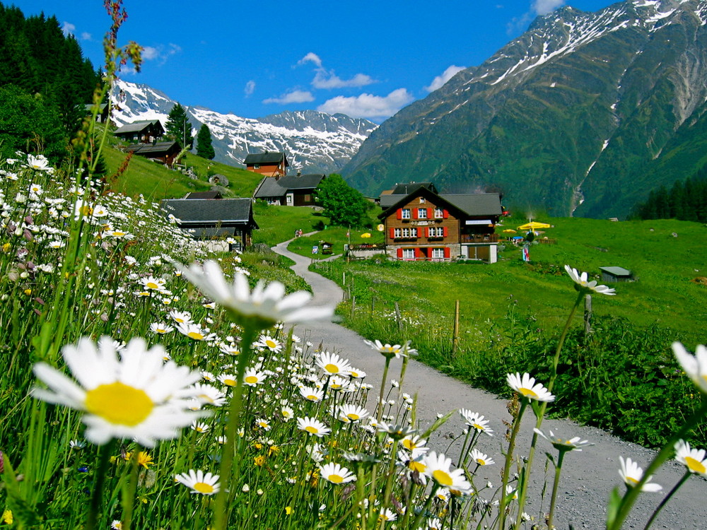 am weg zum gasthaus edelweiss golzern