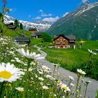 am weg zum gasthaus edelweiss golzern