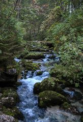 Am Weg zum Gollinger Wasserfall...