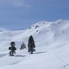 Am Weg zum Heidentempel