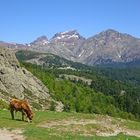 am Weg zum Lac de Nino