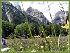 Am Weg zum Misurina-See/ Südtirol