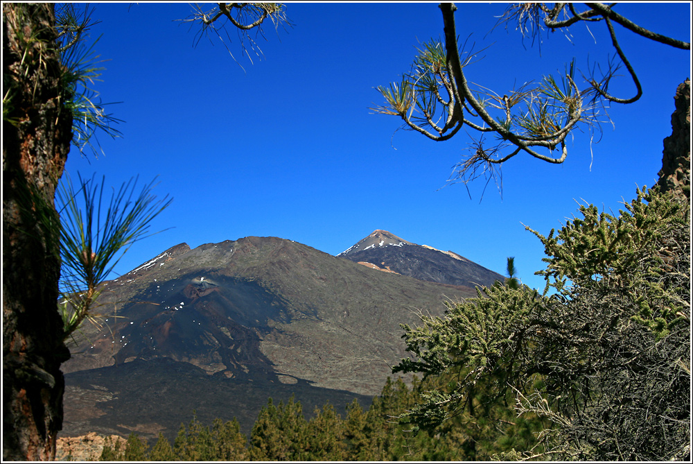 am Weg zum Montana del Cedro mit Blick zum Pico Viejo im Vordergrund und Teide im Hintergrund