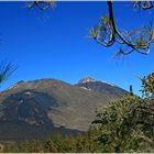 am Weg zum Montana del Cedro mit Blick zum Pico Viejo im Vordergrund und Teide im Hintergrund