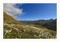 am Weg zum Ramolhaus 3