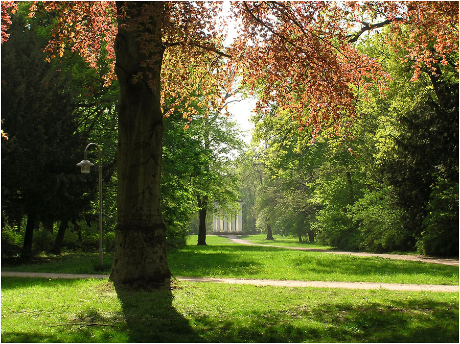 Am Weg zum Tempel