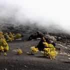 Am Weg zum Vulkan St. Martin 1