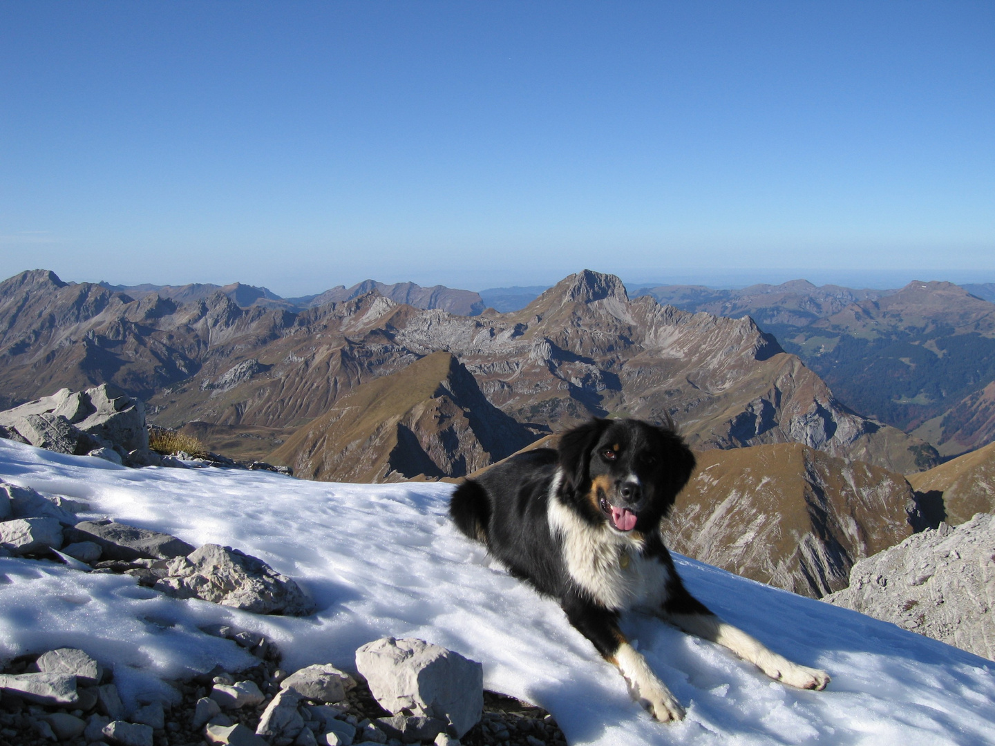 am Weg zur Braunarl