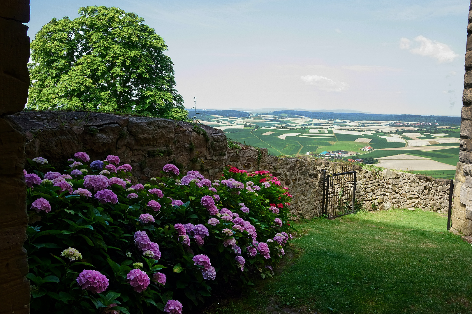 am Weg zur Burg