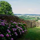 am Weg zur Burg