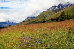 am Weg zur Gottschaunalm