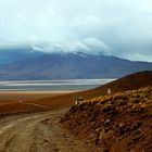 am Weg zur Laguna Colorada