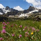 Am Weg zur Niederelbehütte