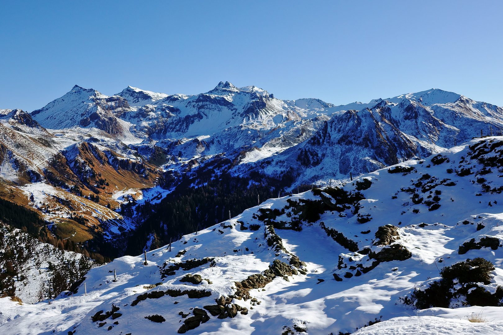 am Weg zur Seapenalm in Navis