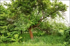 am Wegesrand