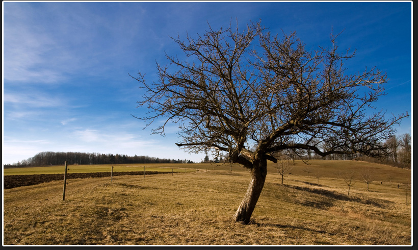 Am Wegesrand