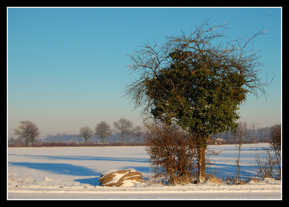 Am Wegesrand