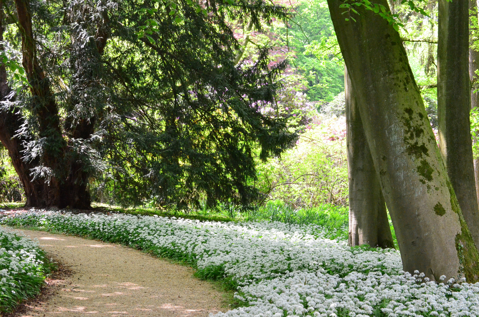 Am Wegesrand Foto & Bild | landschaft, wege und pfade, parklandschaften Bilder auf fotocommunity