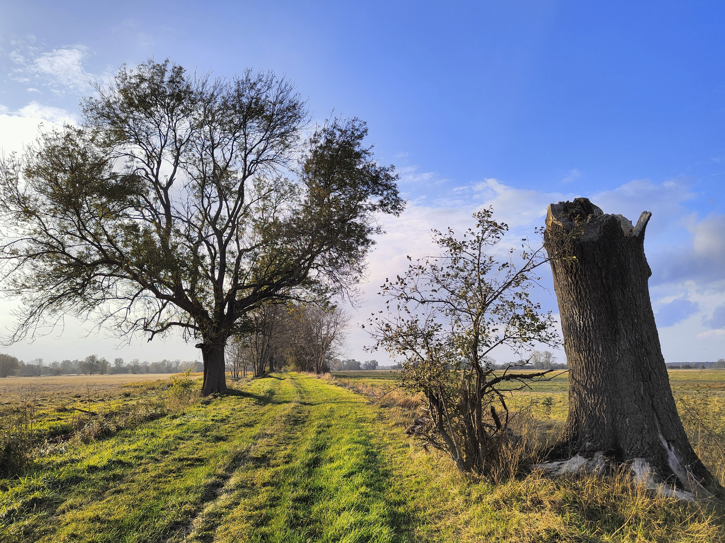 Am Wegesrand