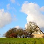 Am Wegesrand blühen die Inseln des Glücks (2)