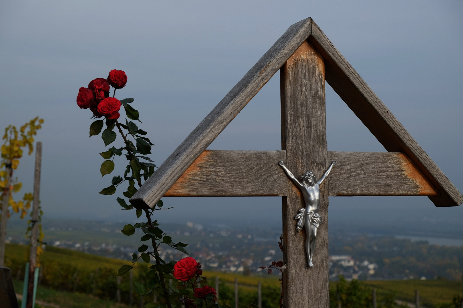 Am Wegesrand der Weihnberge