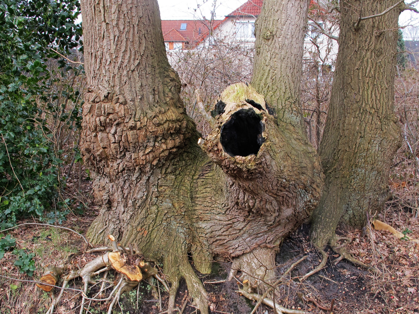 Am Wegesrand ein Kunstwerk der Natur