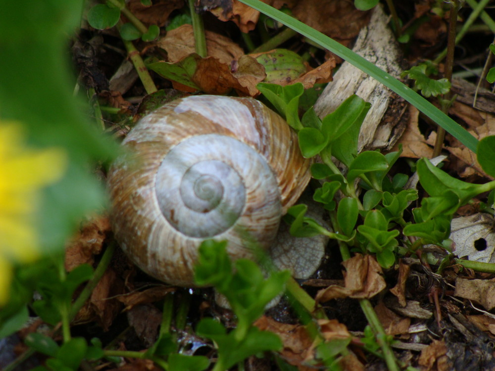 am Wegesrand entdeckt...