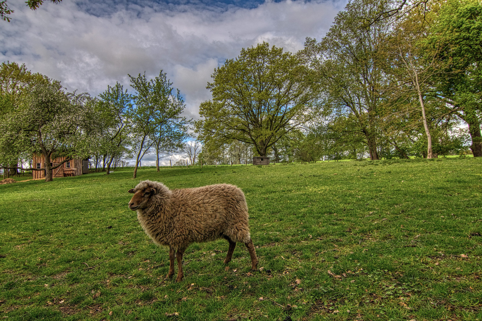 Am Wegesrand im Löwenberger Land bei Berlin