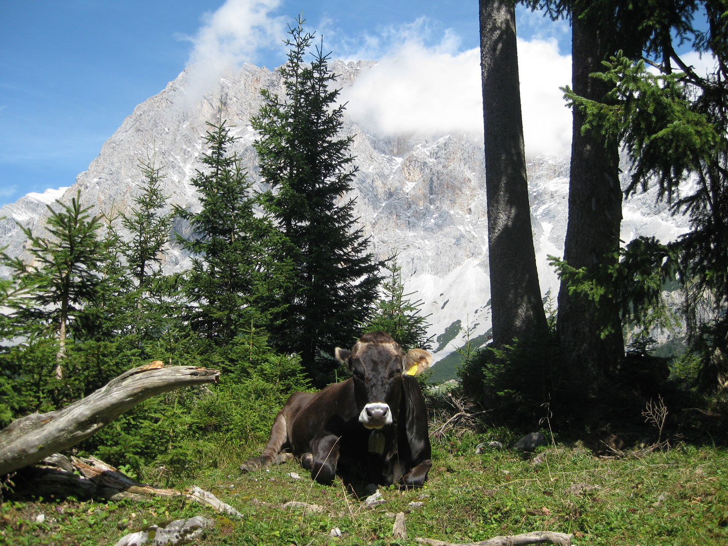 Am Wegesrand zum Seebensee