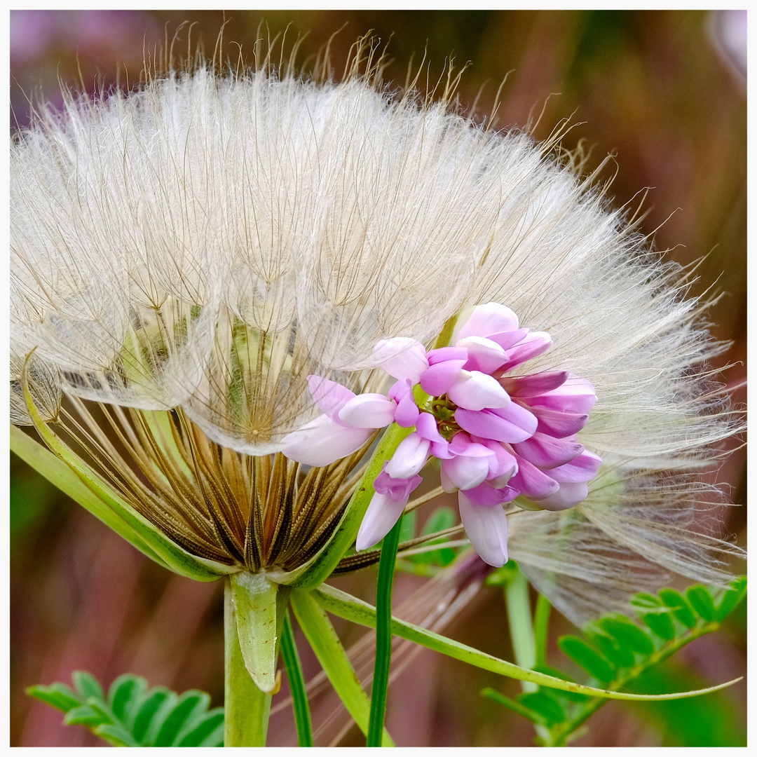 Am Wegrand - mit Blumen im Haar