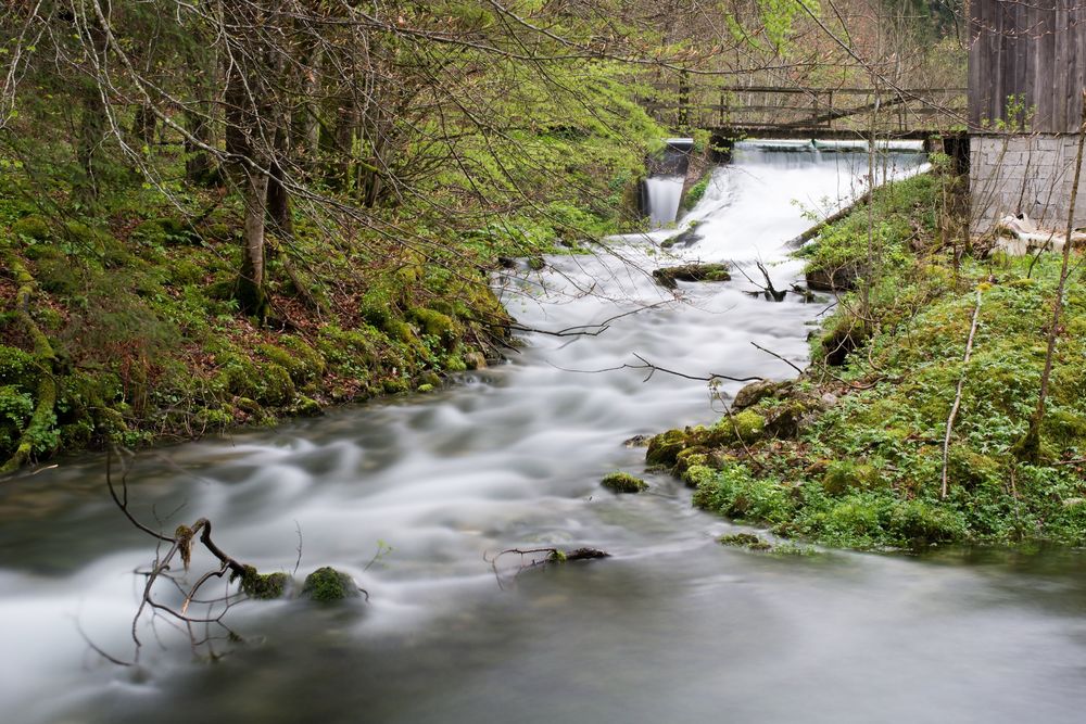 Am Wehr Foto & Bild natur, landschaft, bach Bilder auf