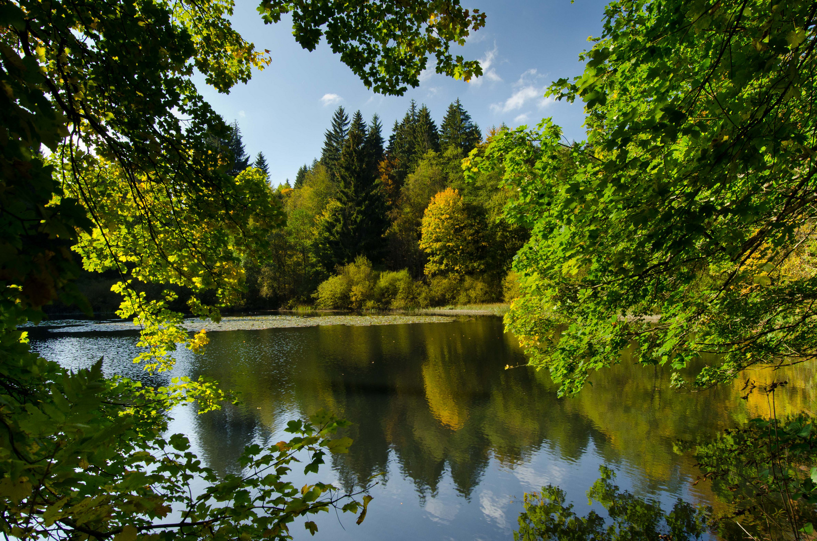 Am Weidelbacher Weiher