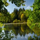 Am Weidelbacher Weiher