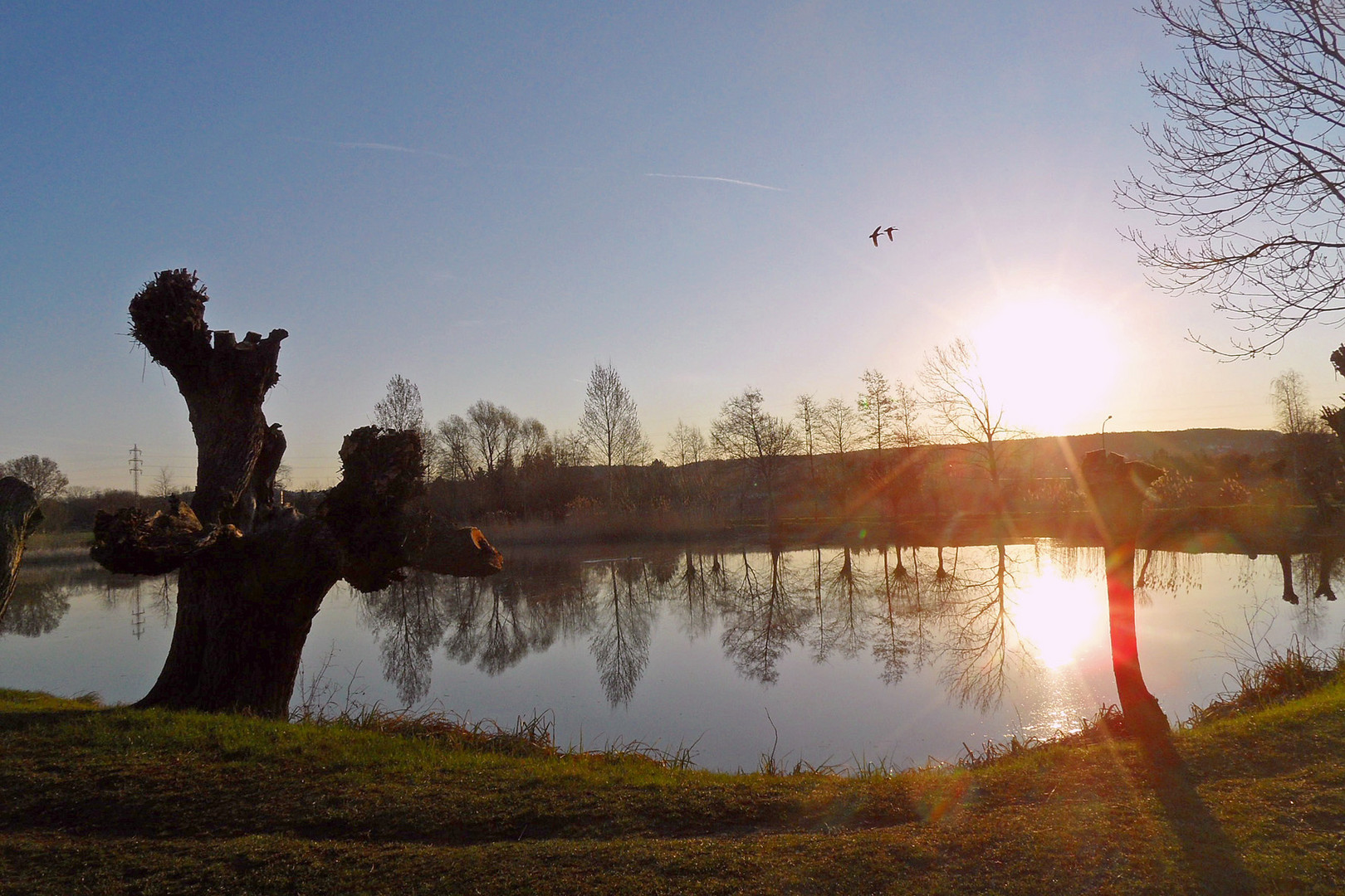 Am Weiher