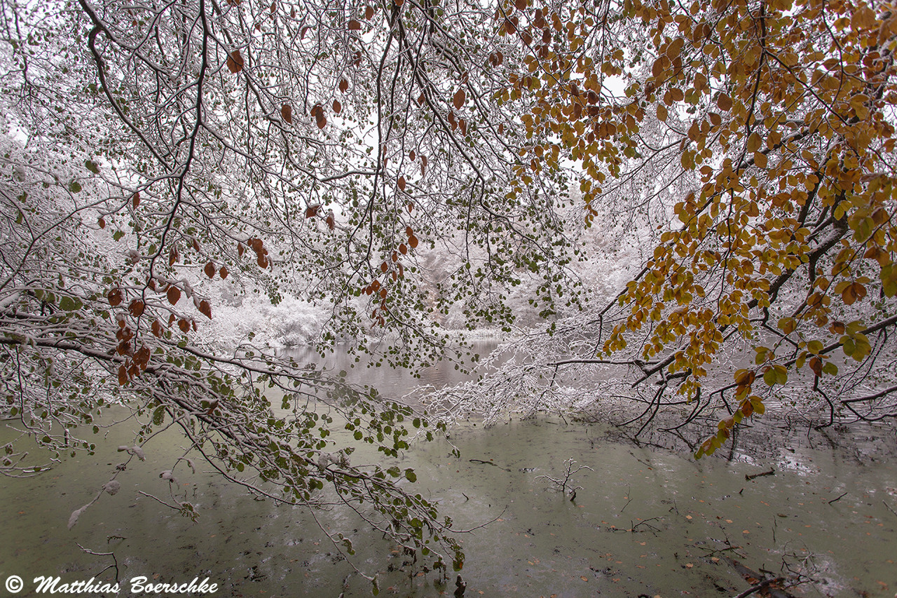 Am Weiher