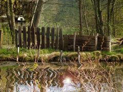 Am Weiher