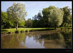 " Am Weiher "