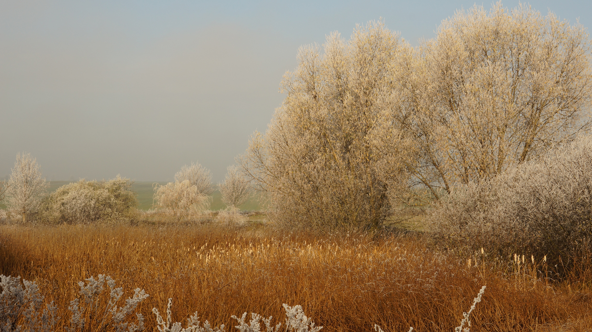 Am Weiher 1