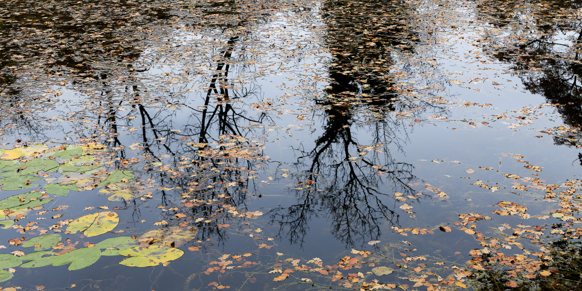 am Weiher 14