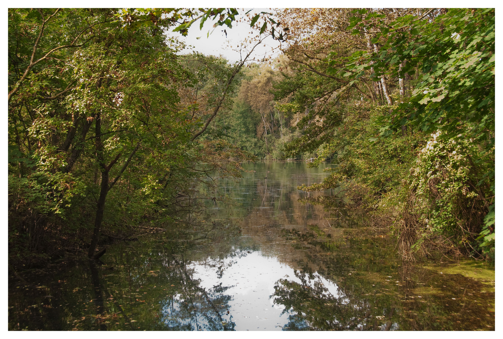 Am Weiher