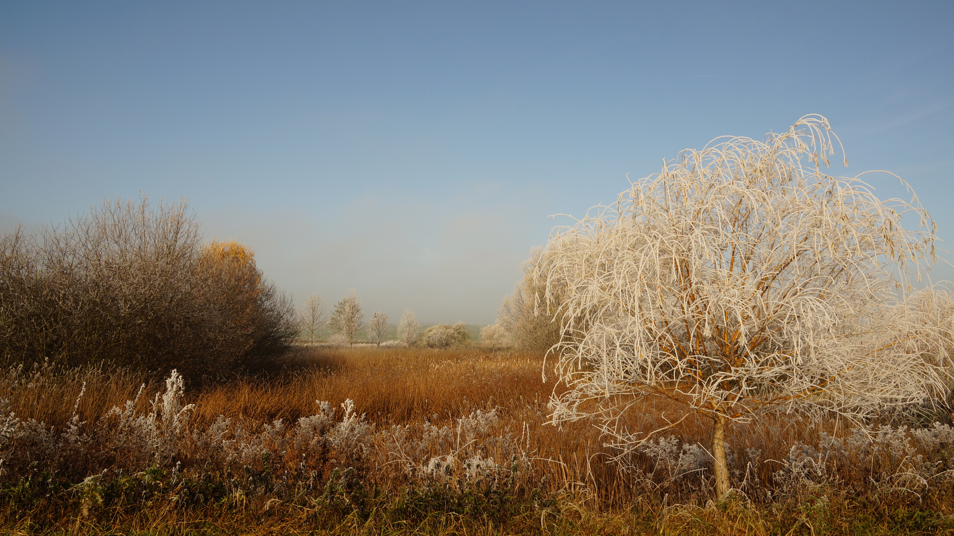 Am Weiher 2