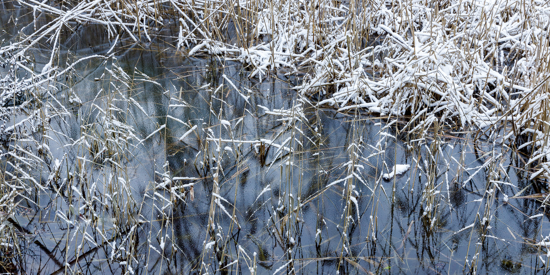 am Weiher 20