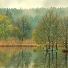 Am Weiher