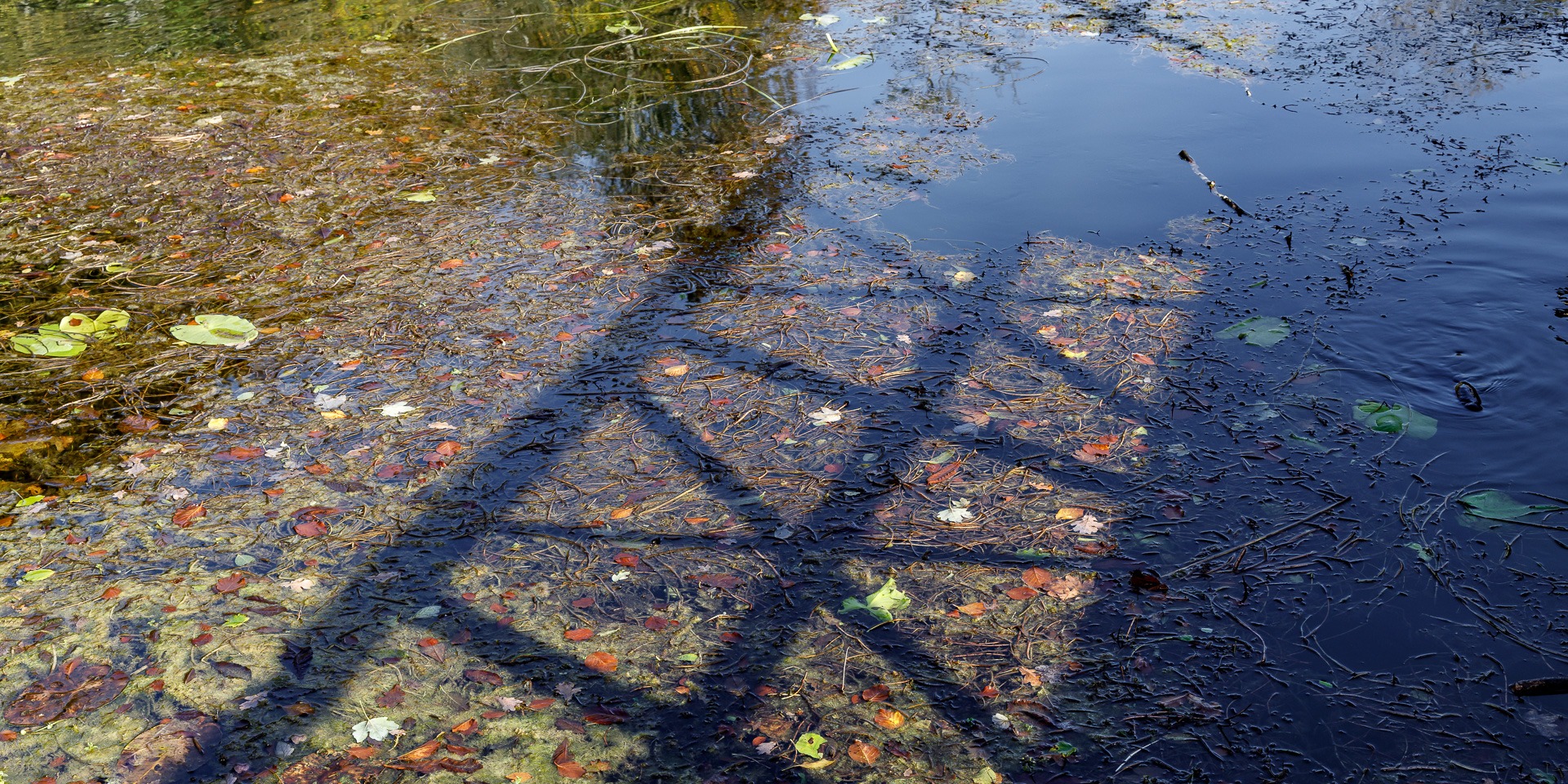 am Weiher 25