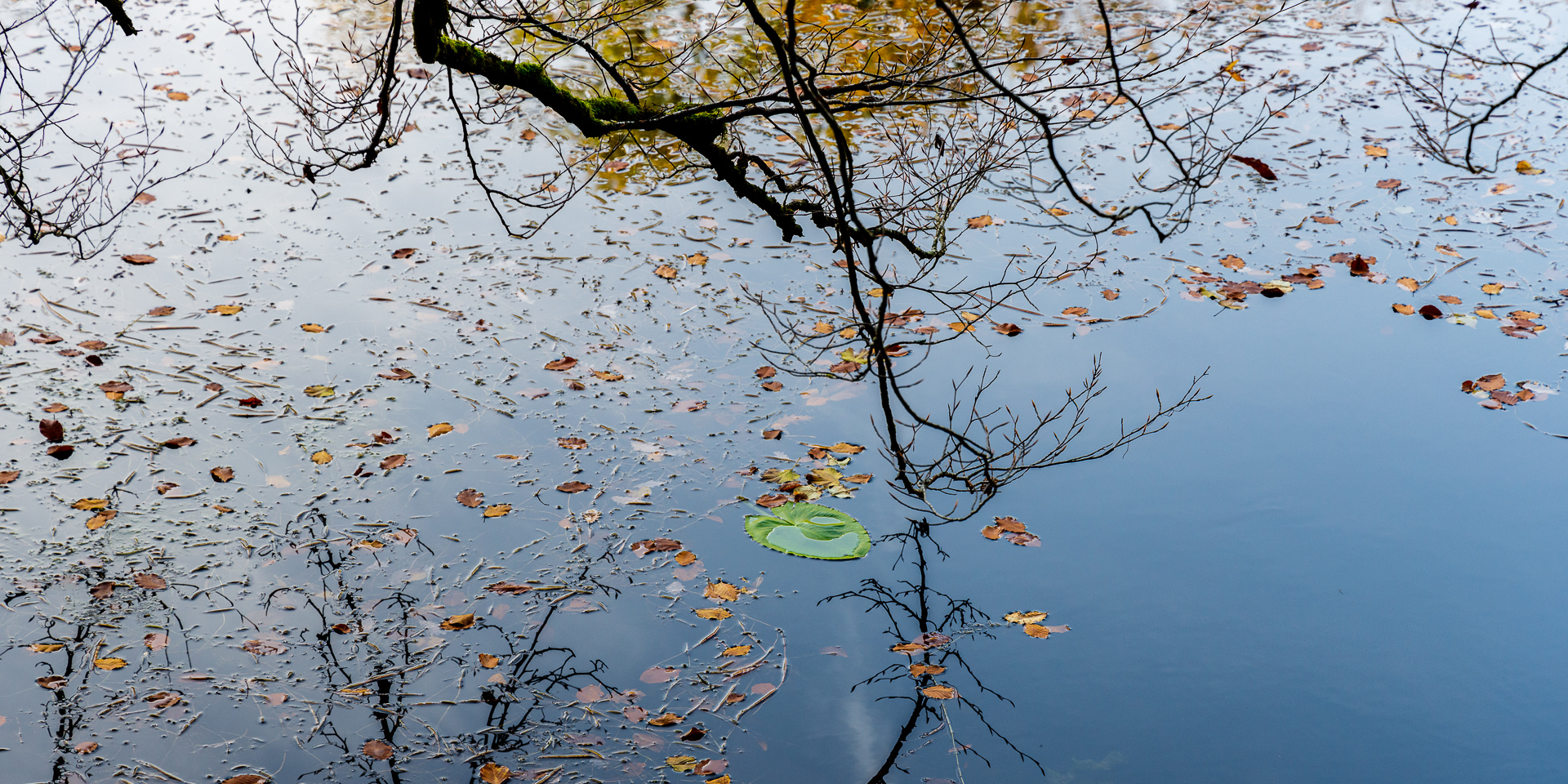 am Weiher 26