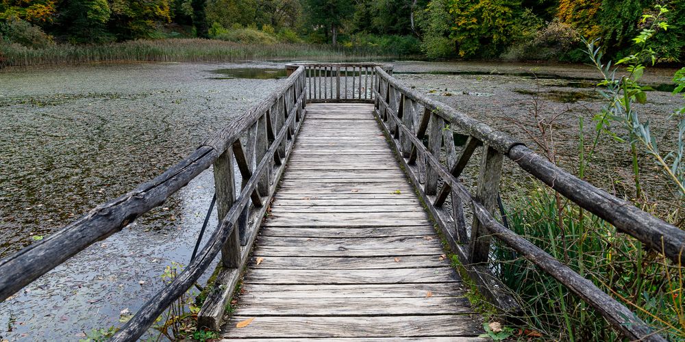 am Weiher 28 Foto & Bild dokumentation, natur, stillleben Bilder auf
