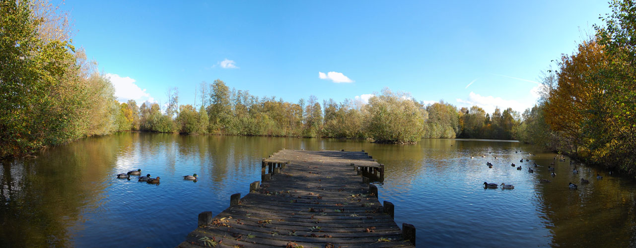 am weiher...