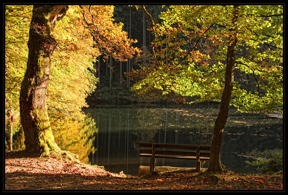 Am Weiher