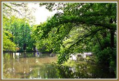 am Weiher