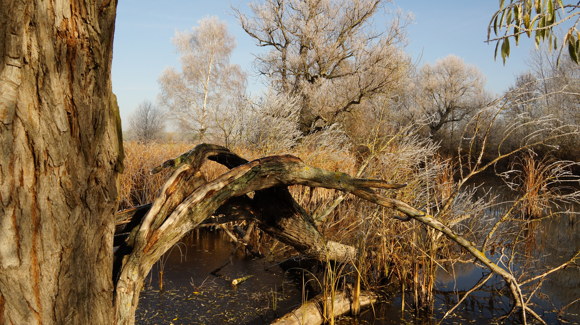 Am Weiher 3